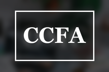 CCFA training course at Genius Computer