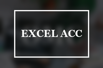 Advance Excel With Accounting training course at Genius Computer