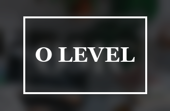 O Level training course at Genius Computer